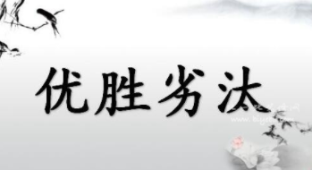 QQ截图20191231102719.png