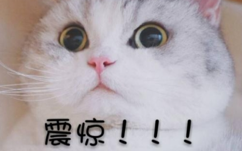 家庭装修污染严重，超九成新装住房甲醛超标！
