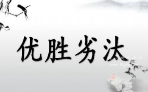 除甲醛行业入行门槛低，但你真的可以生存下去吗？