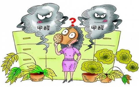 室内除甲醛最有效的方法是什么？