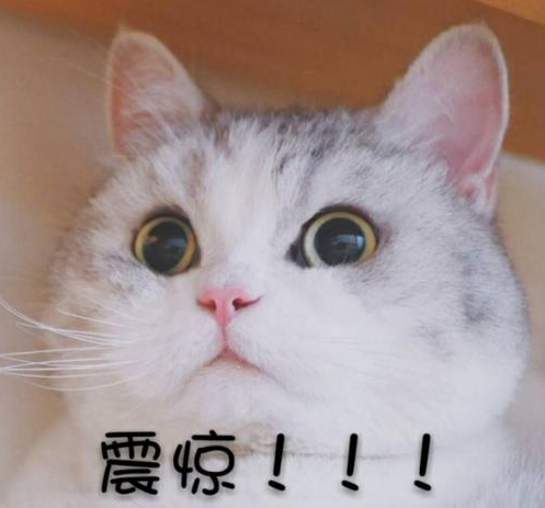 企业微信截图_16160376755537